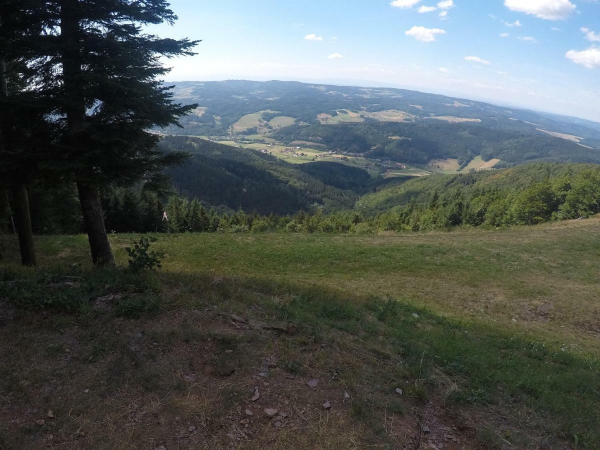 Modernes Appartement Schwarzwald Naehe Freiburg Winden im Elztal Extérieur photo