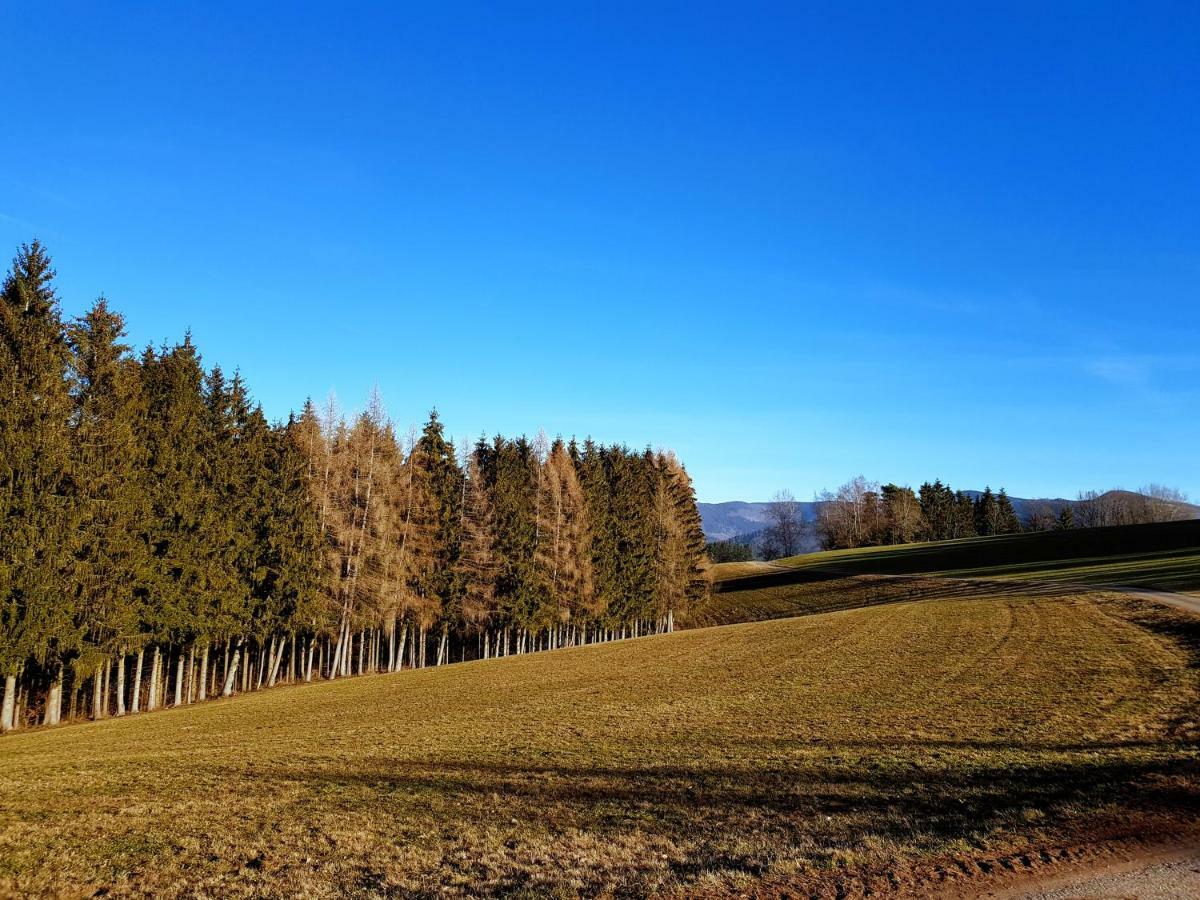 Modernes Appartement Schwarzwald Naehe Freiburg Winden im Elztal Extérieur photo