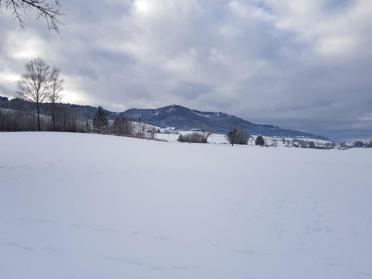 Modernes Appartement Schwarzwald Naehe Freiburg Winden im Elztal Extérieur photo